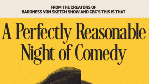 A Perfectly Reasonable Night of Comedy