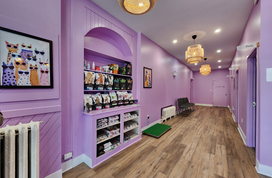 Interior hallway of Uptown Animal Clinic with purple walls, pet food display shelves, and seating area for clients.
