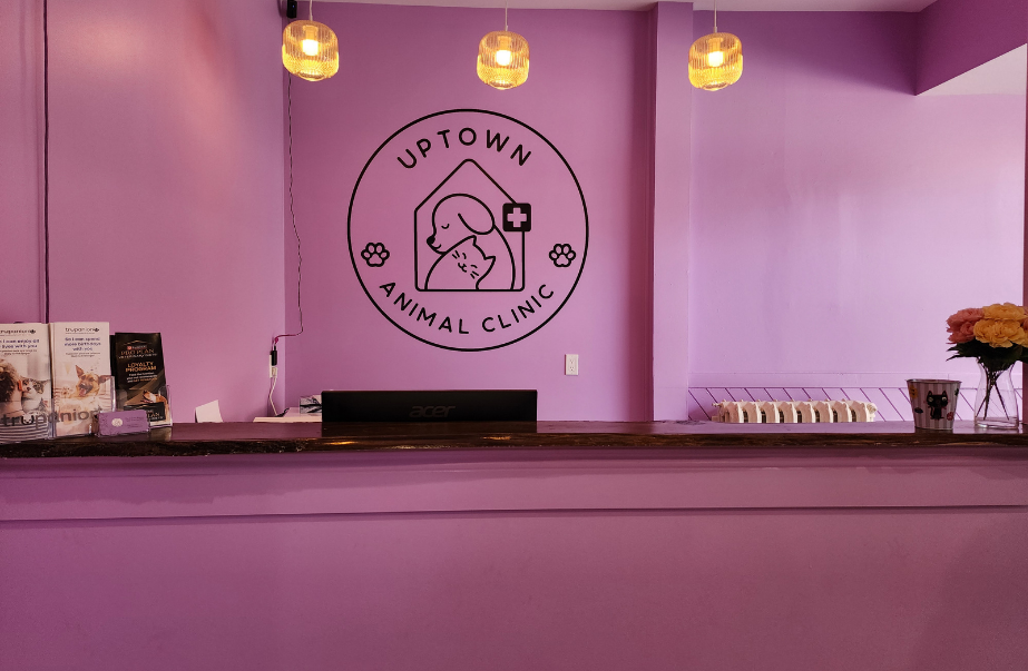 Reception area inside Uptown Animal Clinic with purple walls, warm lighting, and clinic logo behind the front desk.