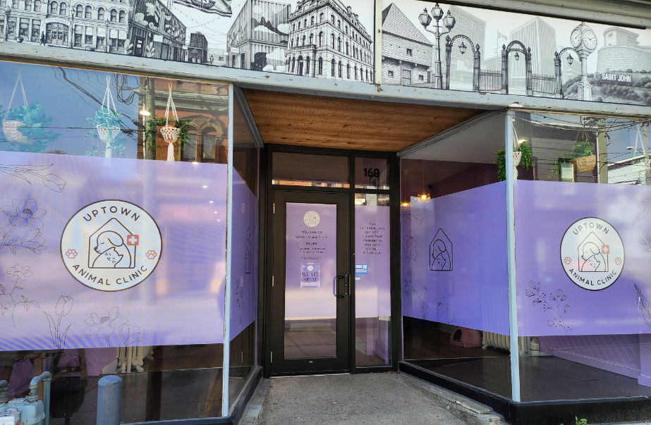 Exterior of Uptown Animal Clinic on Union Street in Uptown Saint John with purple window decals and front entrance.